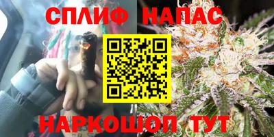 прущие грибы Заводоуковск
